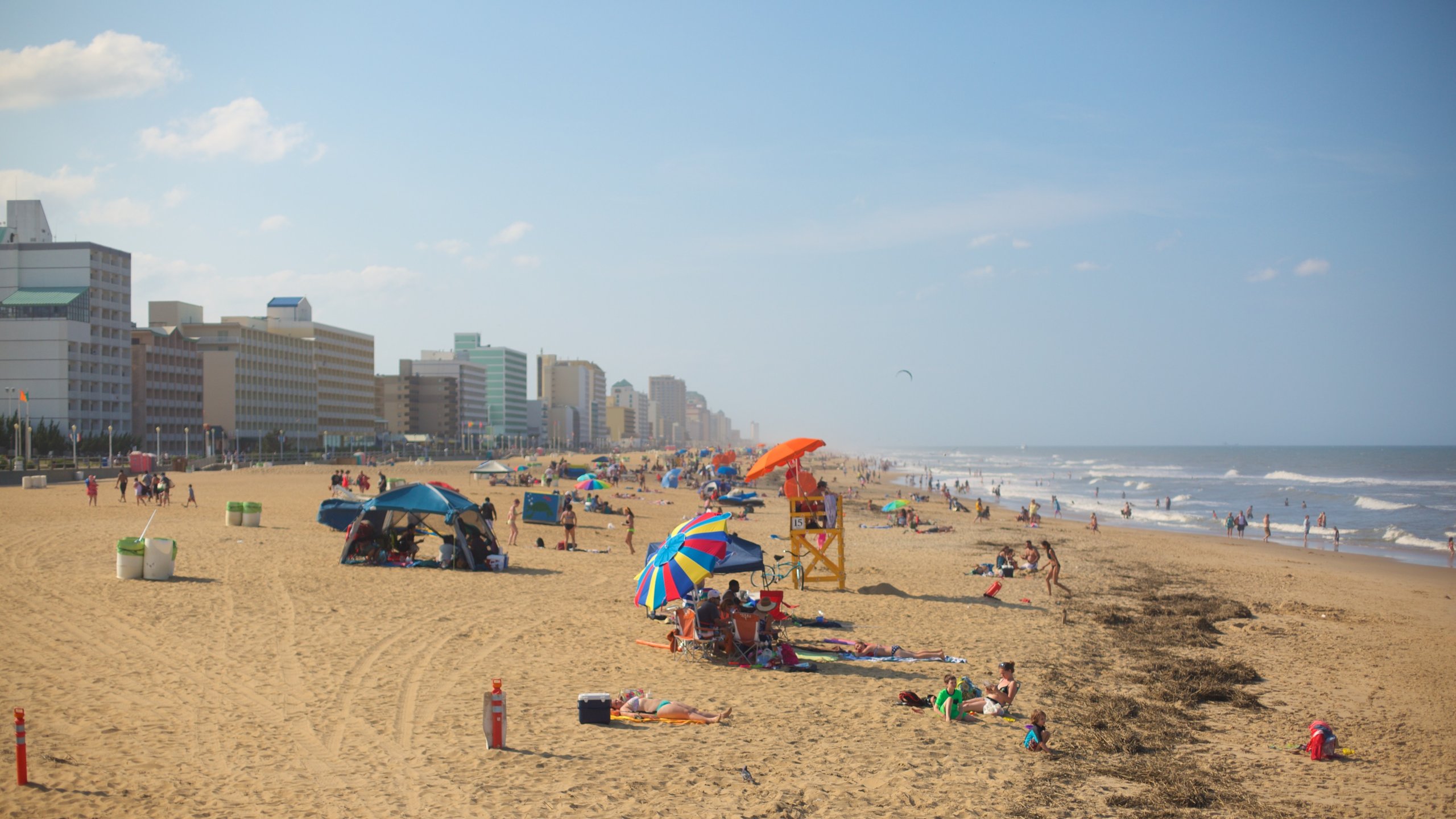 Looking virginia beach