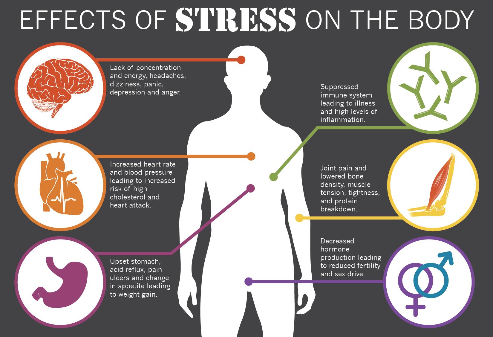 We can body. Effects of stress. How stress affects our bodies. Stress Effect on body. The Symptoms of stress картинки.