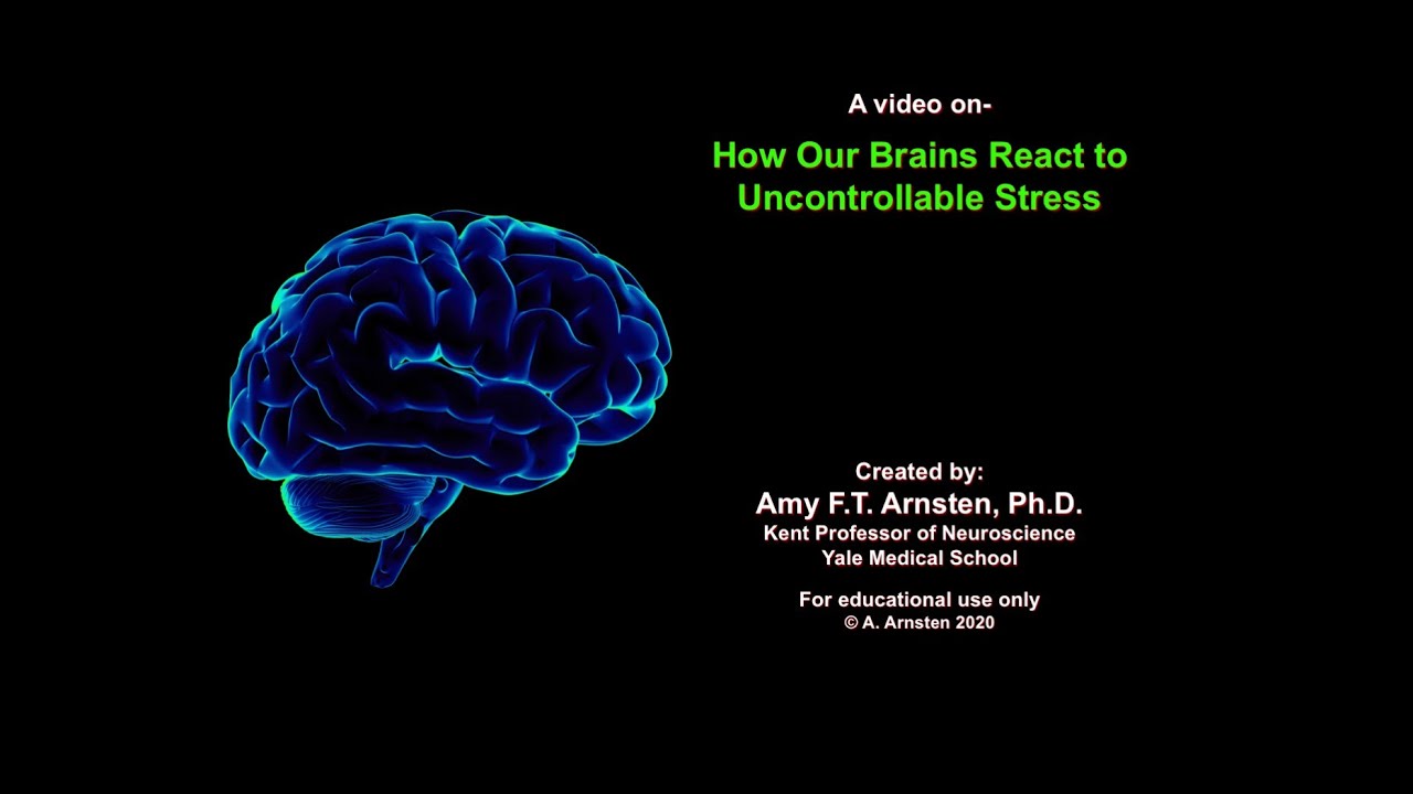 Violent shaking up or jarring of the brain: Medical Terminology ...