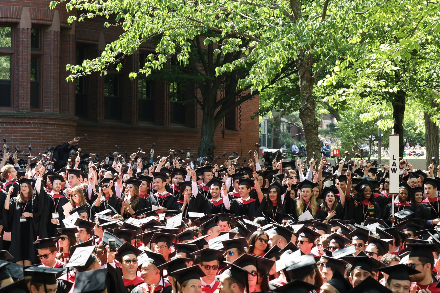 Факультеты гарварда. Гарвардский университет (Harvard University), США. Гарвардский университет кампус. Бостон университет Гарвард. Школа Гарвард.