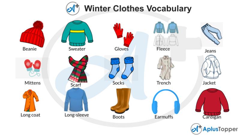 10 Must-Have Features For The Best Cold Weather Hiking Jacket: How To Pick The Right One For You