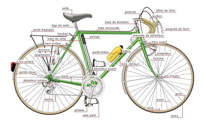 7 Must Have Kickstands For Nishiki Bikes This Year: Find the Perfect Model For Your Bike Without Breaking Your Budget