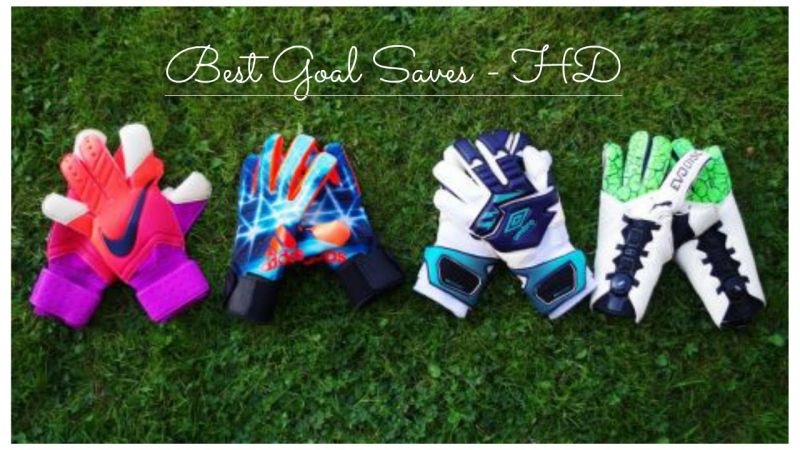 A Buyers Guide to Choosing the Best Nike Lacrosse Goalie Gloves