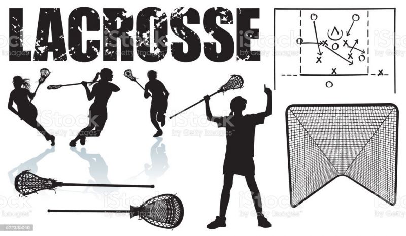 Affordable Defense CostConscious Tips for Buying Lacrosse Goals  Nets