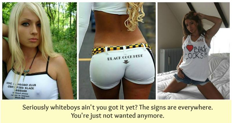 Are Classic adidas Socks Better Than New: 14 Reasons You
