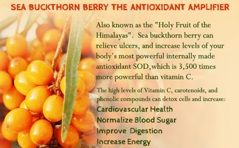 Are Debeere the New Superfood: Discover 15 Surprising Health Benefits of This Ancient Berry
