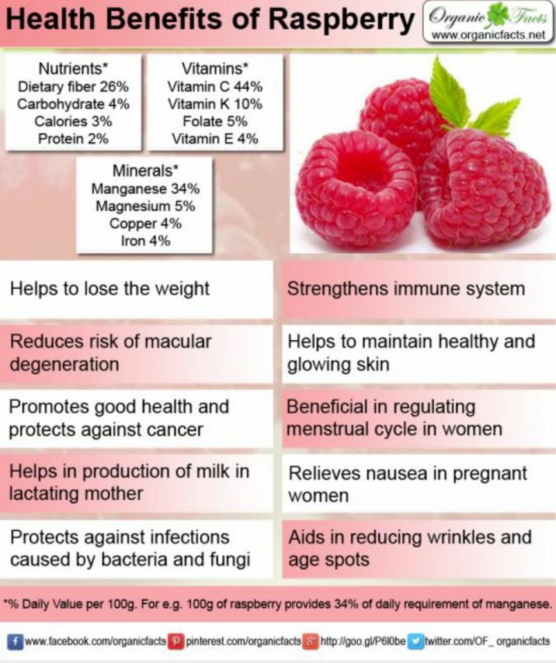 Are Debeere the New Superfood: Discover 15 Surprising Health Benefits of This Ancient Berry
