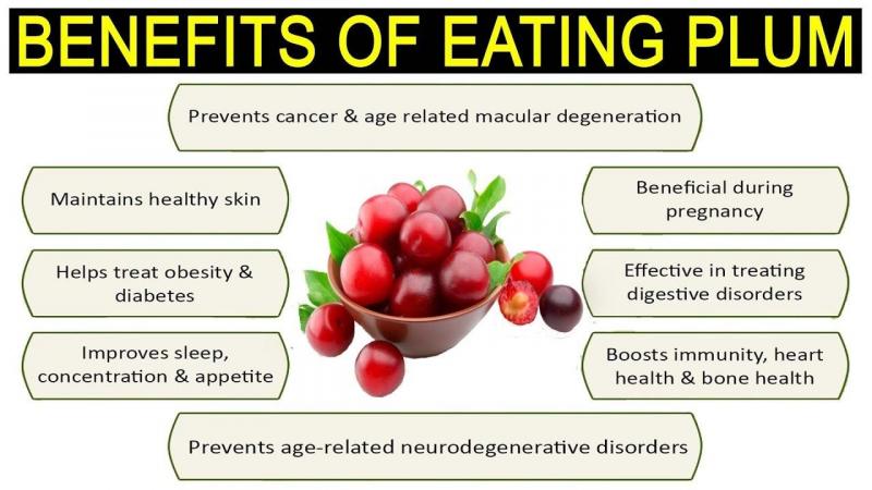 Are Debeere the New Superfood: Discover 15 Surprising Health Benefits of This Ancient Berry