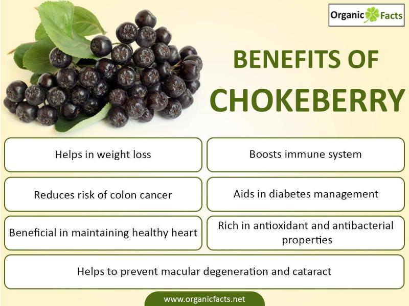 Are Debeere the New Superfood: Discover 15 Surprising Health Benefits of This Ancient Berry
