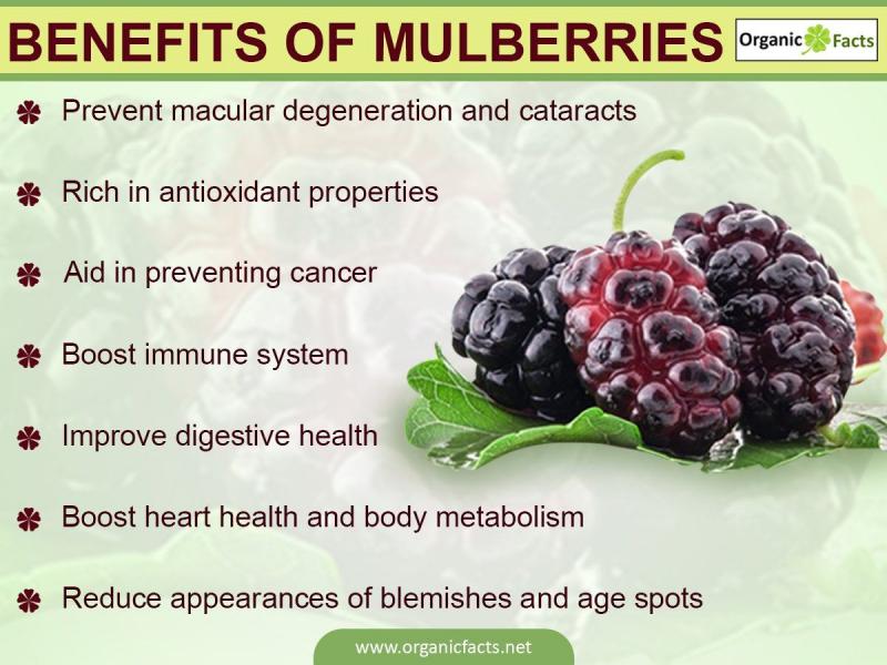 Are Debeere the New Superfood: Discover 15 Surprising Health Benefits of This Ancient Berry