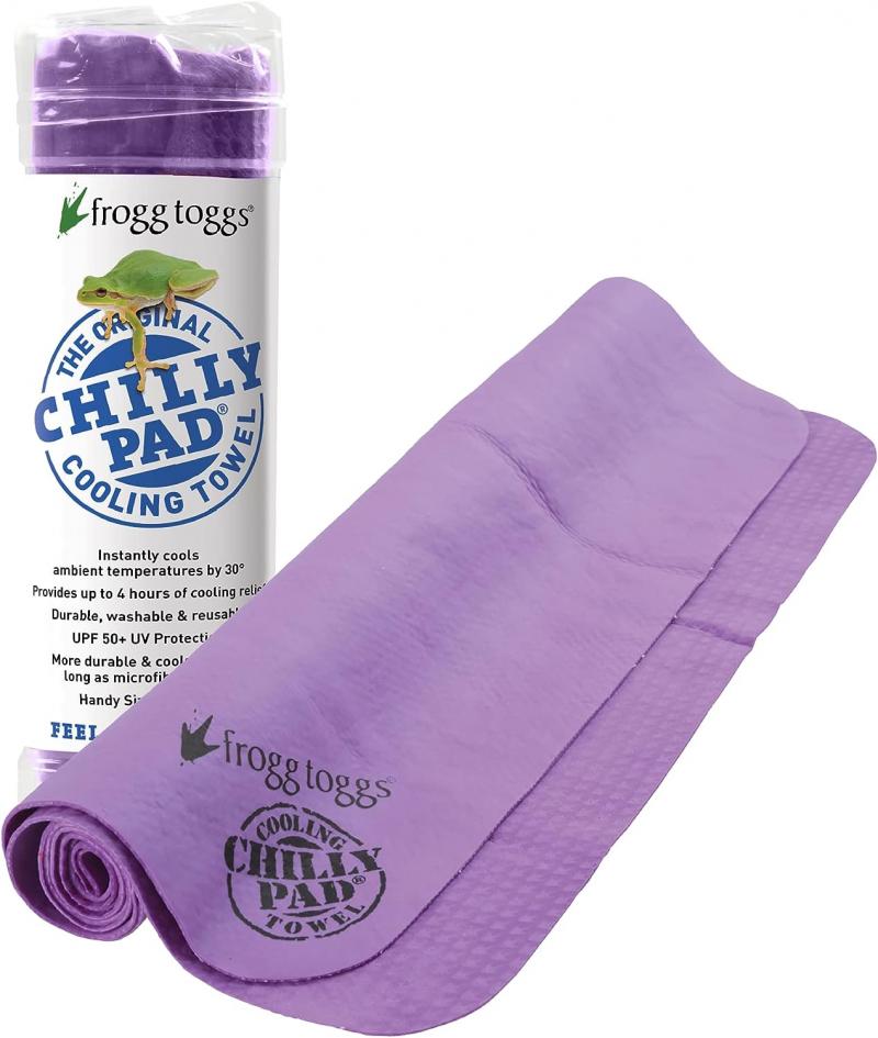 Are Frogg Toggs Chilly Mini Coolers Worth It: The 15 Must-Know