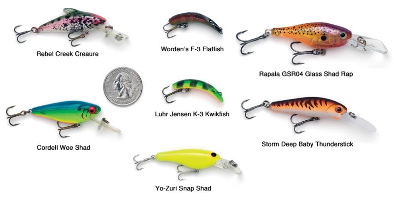 Are Googan Baits Largie Lookers the Best for Landing Hogs: Master These 15 Tactics to Consistently Hook into Lunker Bass