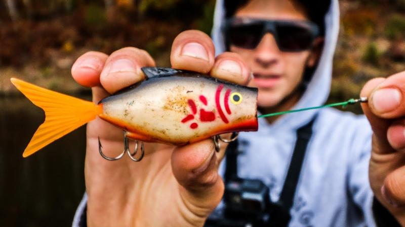 Are Googan Baits Largie Lookers the Best for Landing Hogs: Master These 15 Tactics to Consistently Hook into Lunker Bass