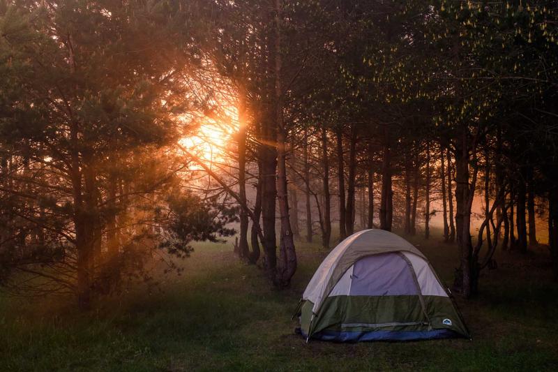Are Kelty Screen Houses Worth the Hype This Summer: Why Tents With Mesh Walls Rule Camping