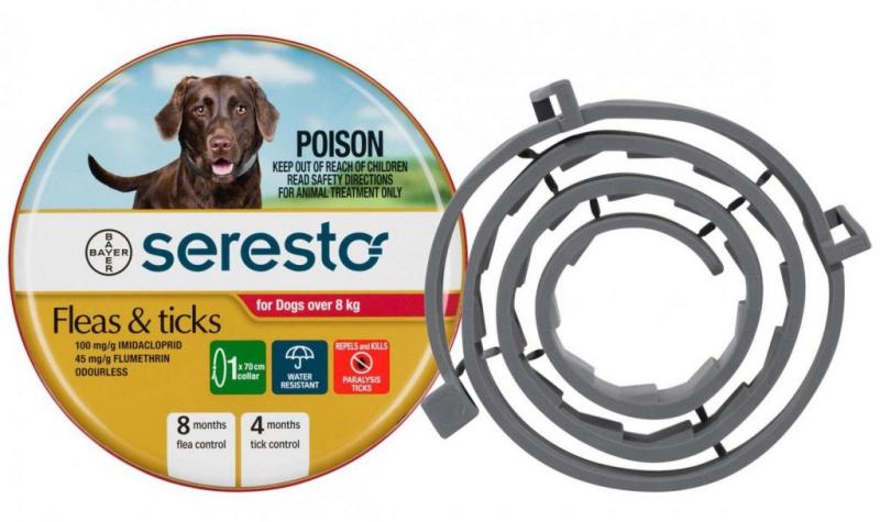Are Lockjaw Collars the Best Weight Collars for You. The Pros and Cons