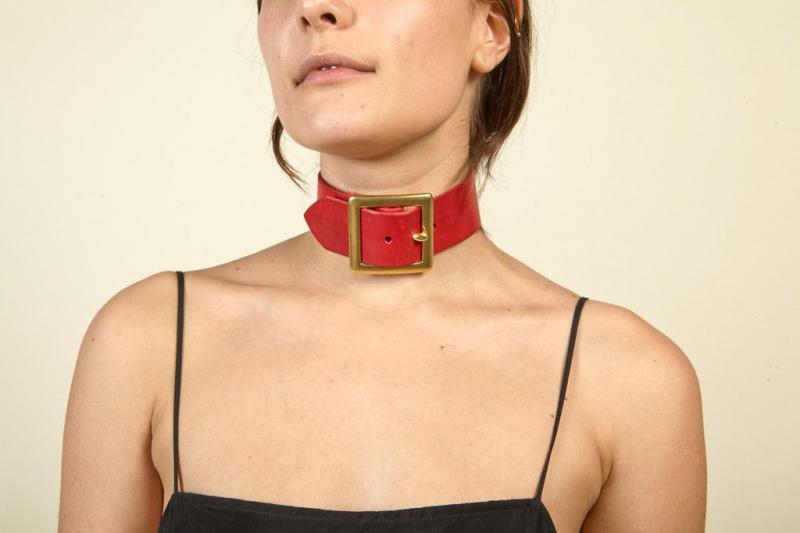 Are Lockjaw Collars the Best Weight Collars for You. The Pros and Cons