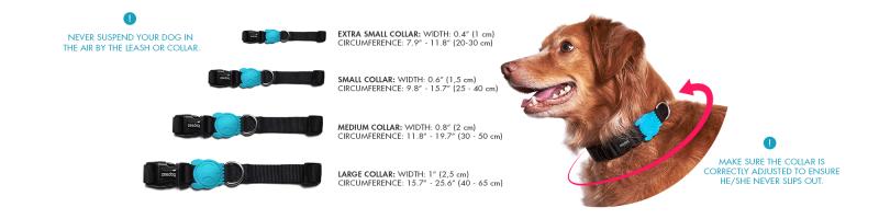 Are Lockjaw Collars the Best Weight Collars for You. The Pros and Cons