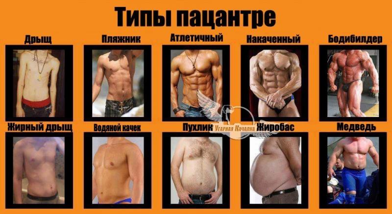 Are Muscle Stimulation Pads Right For You. : Discover If This Muscle-Shocking Secret Can Transform Your Physique