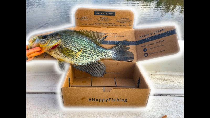 Are Mystery Tackle Boxes Worth it for Trout & Panfish Anglers. The Surprising Answer Inside