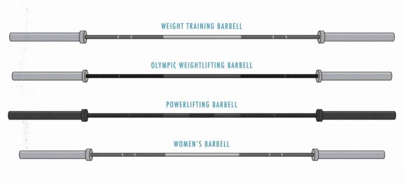 Are Olympic Barbells Too Pricey For You. : 7 Insider Tips to Get the Best Deals on Olympic Bars
