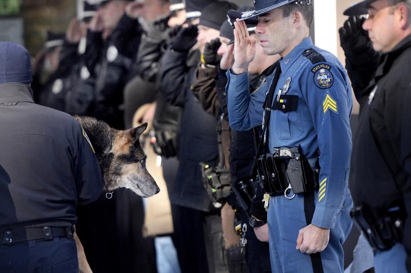 Are Police K9 Units Still Effective Today: The 15 Surprising Ways K9s Help Officers and Communities Thrive