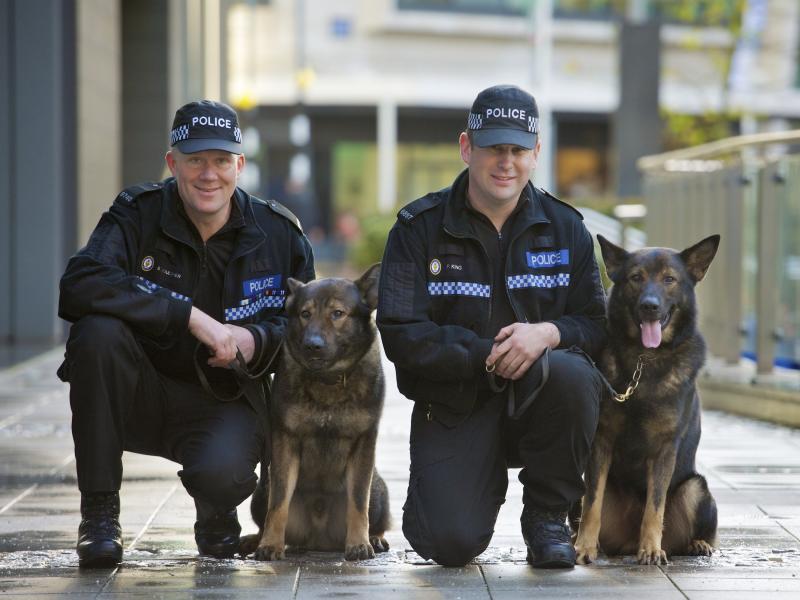 Are Police K9 Units Still Effective Today: The 15 Surprising Ways K9s Help Officers and Communities Thrive