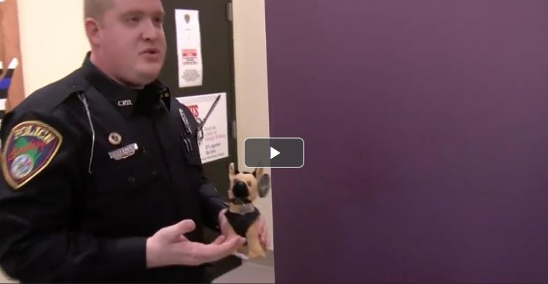Are Police K9 Units Still Effective Today: The 15 Surprising Ways K9s Help Officers and Communities Thrive