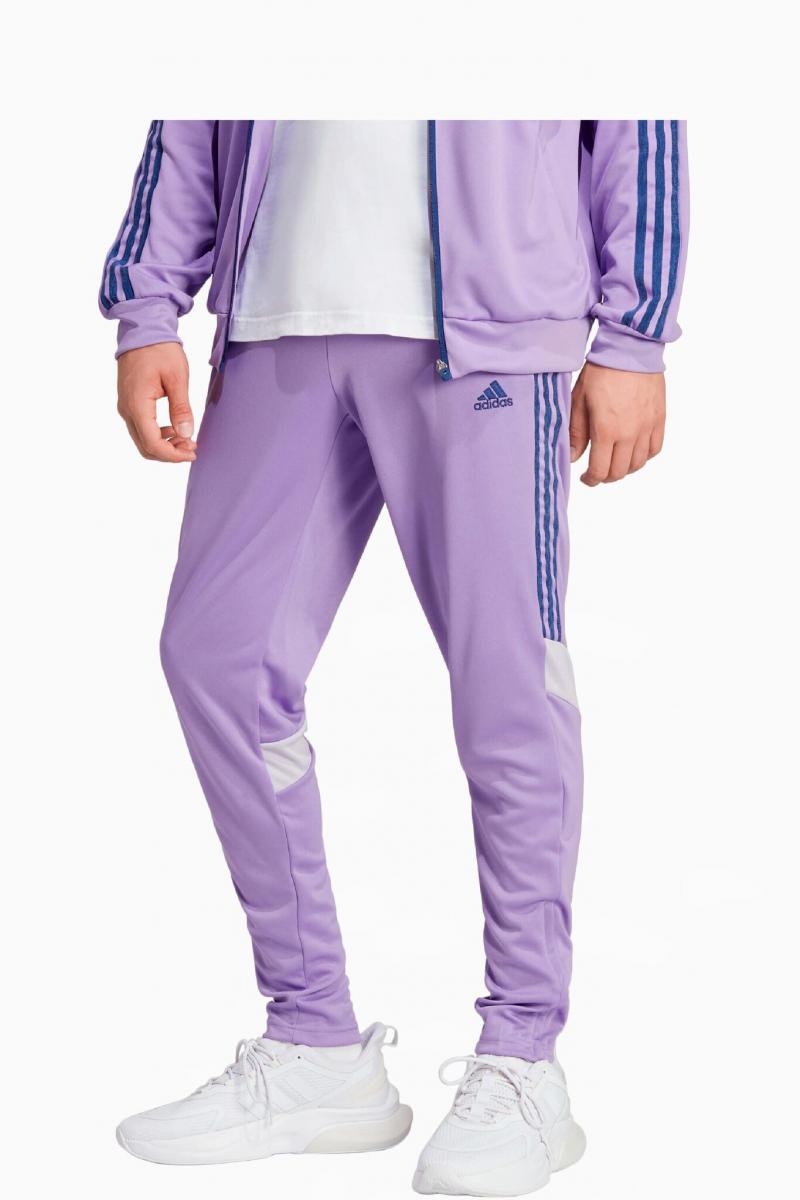 Are Purple The Hottest Color For Adidas Pants in 2022: A Look at the Adidas Purple Pant Trend Taking Over