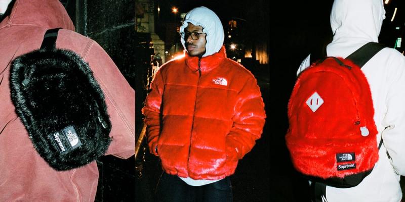 Are These 15 Keywords the Secret to Finding the Perfect Fuzzy North Face Jacket