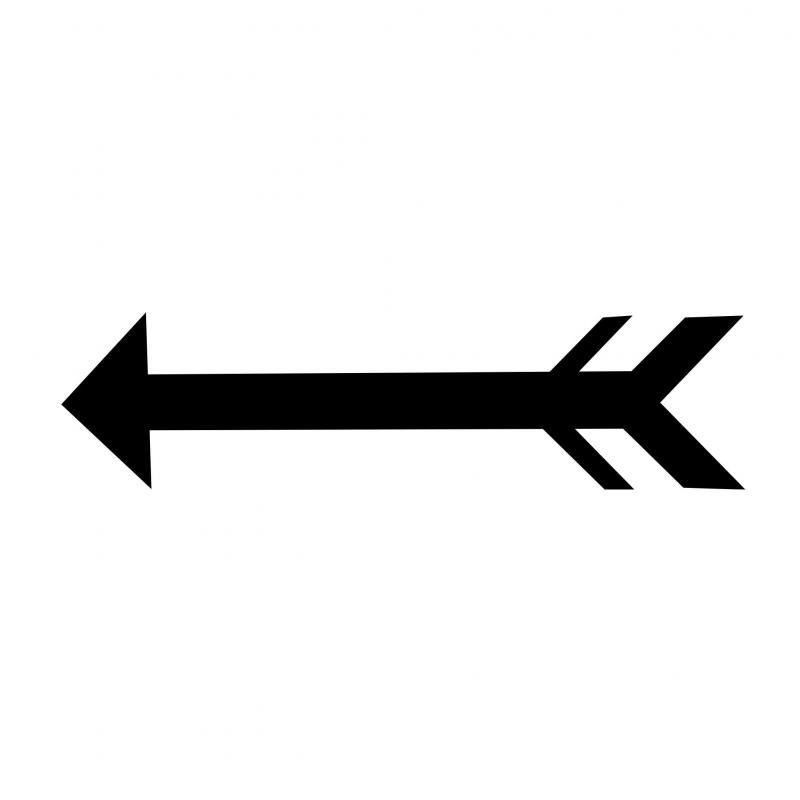 Are These the Best Arrows & Bolts for Hunting in 2022: 22 Headhunter Arrows & Barnett Headhunter Bolts Revealed