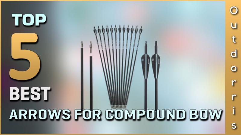 Are These the Best Arrows & Bolts for Hunting in 2022: 22 Headhunter Arrows & Barnett Headhunter Bolts Revealed