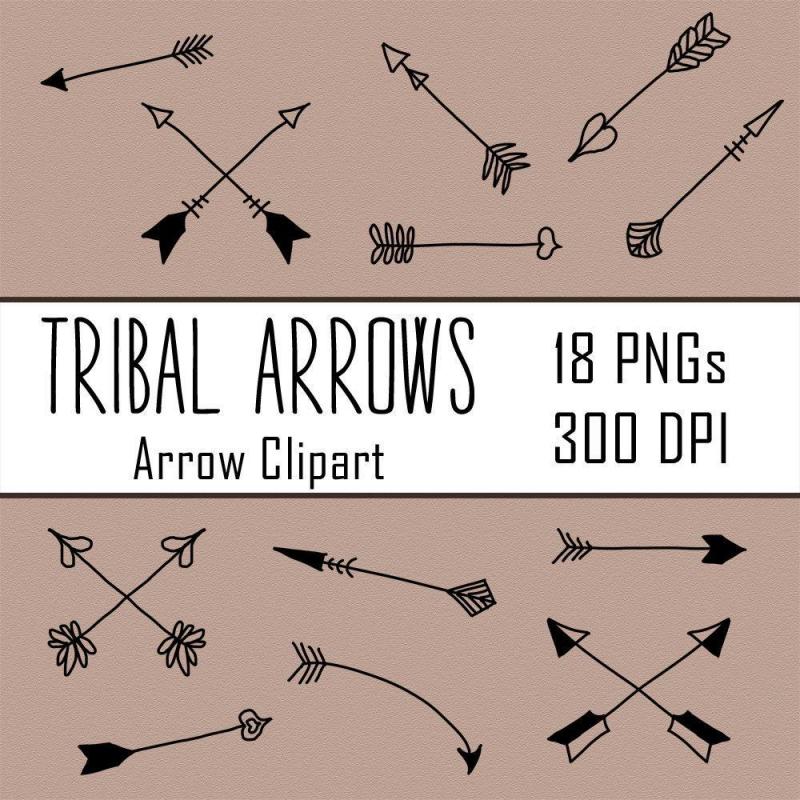 Are These the Best Arrows & Bolts for Hunting in 2022: 22 Headhunter Arrows & Barnett Headhunter Bolts Revealed