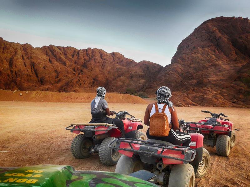 Are These the Best ATV Gloves for Extreme Trail Riding in 2023