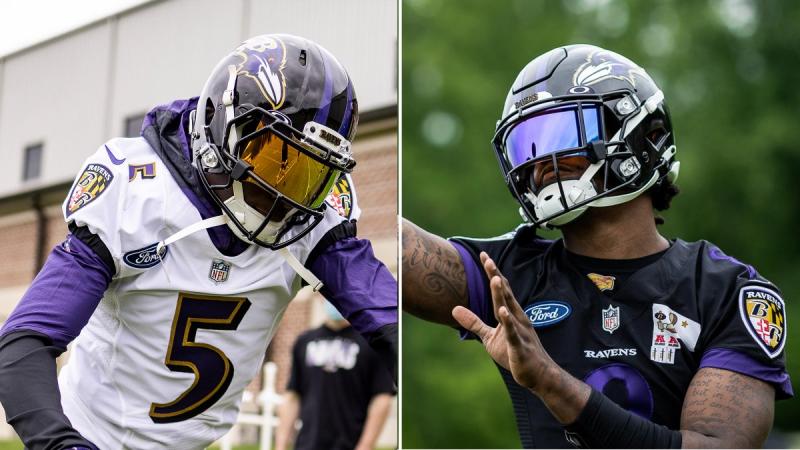 Are These the Best Baltimore Ravens Mini Helmets. : The 15 Must-Have Mini Helmets for Diehard Ravens Fans