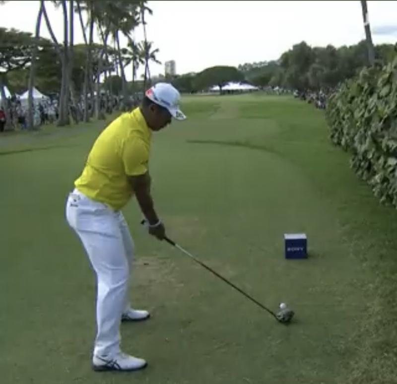 Are These the Best Golf Tees for Your Game: The Top 15 Brush Tees That Will Transform Your Drive