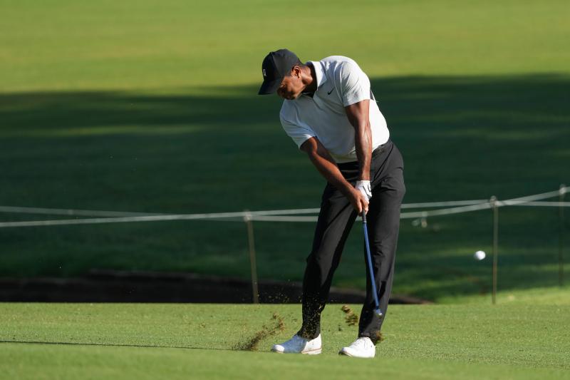 Are These the Best Golf Tees for Your Game: The Top 15 Brush Tees That Will Transform Your Drive