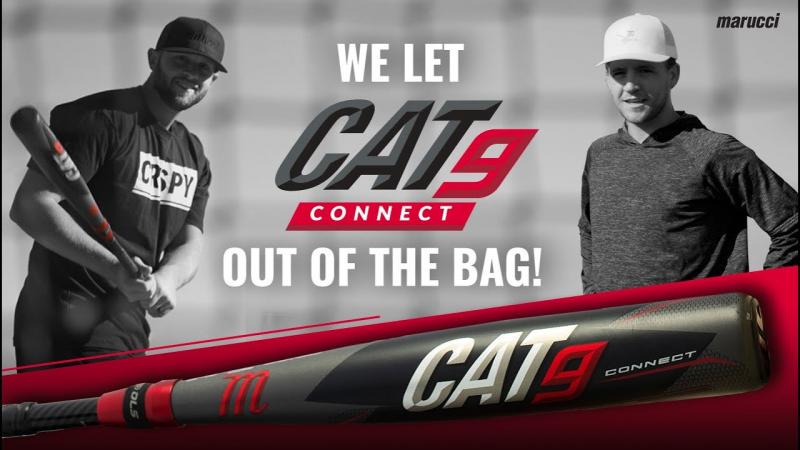 Are These The Best Marucci Cat 8 Bat Features For 2023