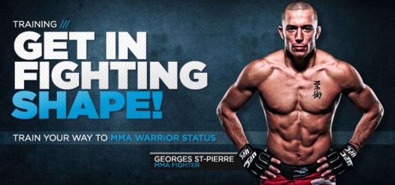 Are These the Best MMA Gloves for Training. The Warrior Burn XP Will Transform Your Workouts