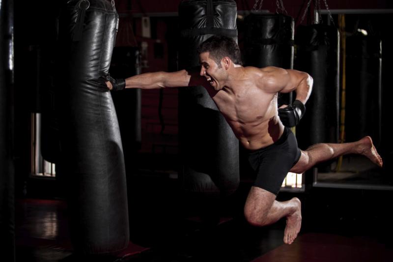 Are These the Best MMA Gloves for Training. The Warrior Burn XP Will Transform Your Workouts