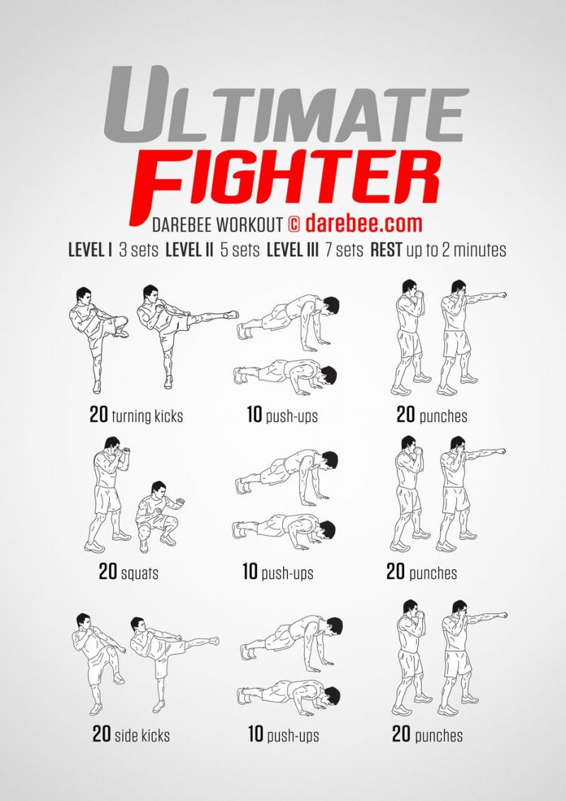 Are These the Best MMA Gloves for Training. The Warrior Burn XP Will Transform Your Workouts