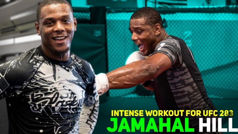 Are These the Best MMA Gloves for Training. The Warrior Burn XP Will Transform Your Workouts