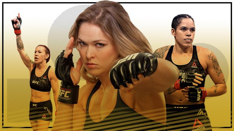 Are These the Best MMA Gloves for Training. The Warrior Burn XP Will Transform Your Workouts