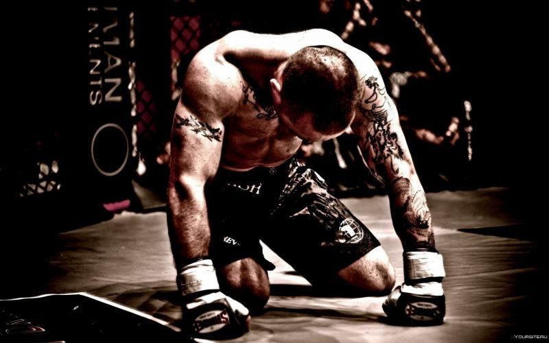 Are These the Best MMA Gloves for Training. The Warrior Burn XP Will Transform Your Workouts