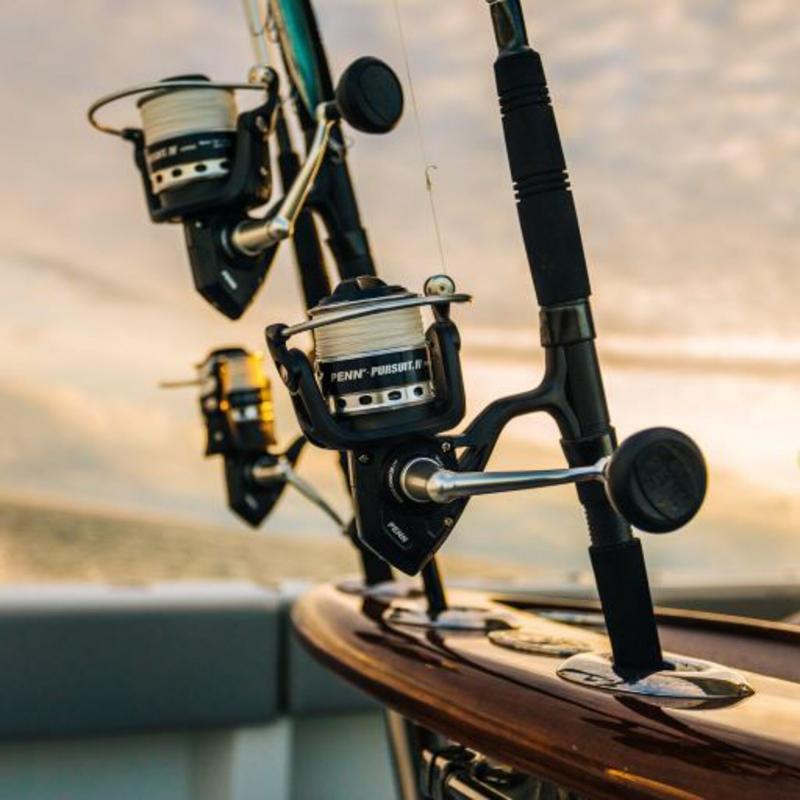 Are These The Best Penn Pursuit Fishing Rods. The 15 Must-Know Facts