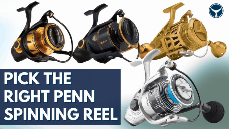 Are These The Best Penn Pursuit Fishing Rods. The 15 Must-Know Facts