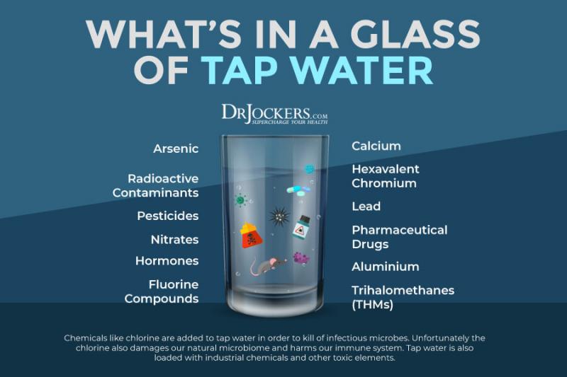 Are Wastewater Plants the Unsung Heroes of Clean Water: How These Systems Ensure Our Water Stays Healthy