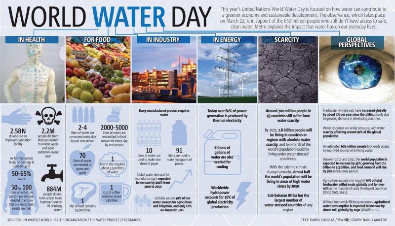 Are Wastewater Plants the Unsung Heroes of Clean Water: How These Systems Ensure Our Water Stays Healthy