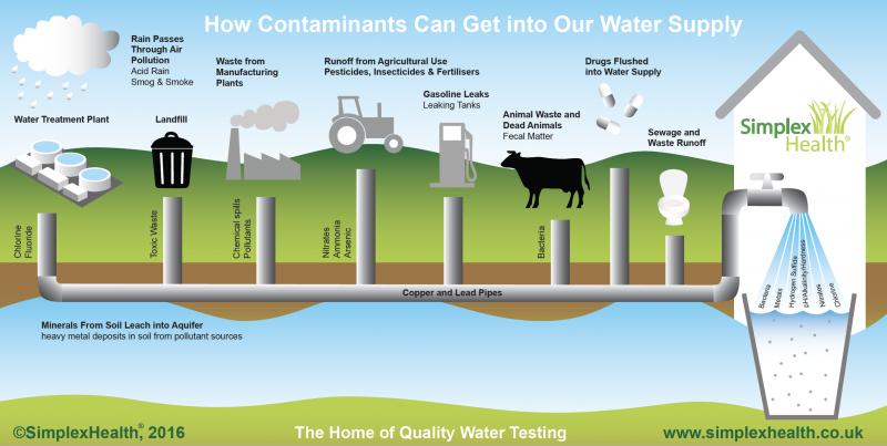 Are Wastewater Plants the Unsung Heroes of Clean Water: How These Systems Ensure Our Water Stays Healthy