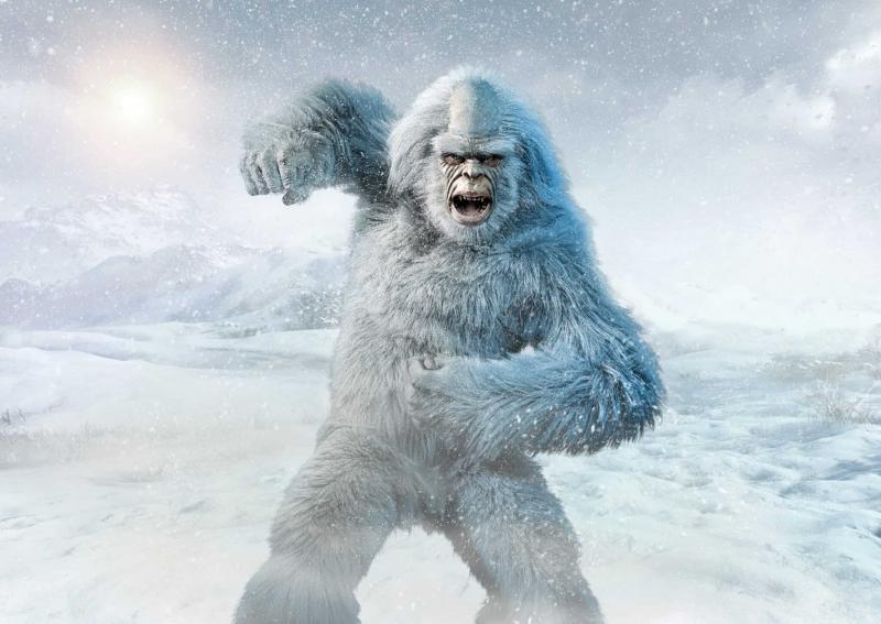 Are Yeti Chairs Worth It: The 15 Reasons You Need a Yeti Cooler Chair