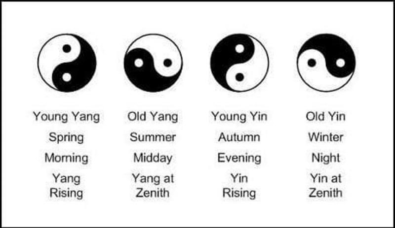 Are Yin & Yang Shoes Still in Style in 2023. The Surprising Comeback of an Iconic Look